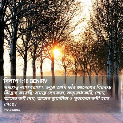 বিলাপ 1:18 BENIRV Bible Verse Image