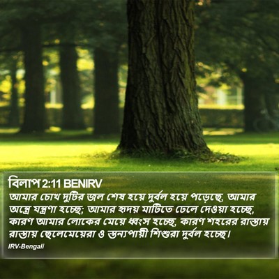 বিলাপ 2:11 BENIRV Bible Verse Image