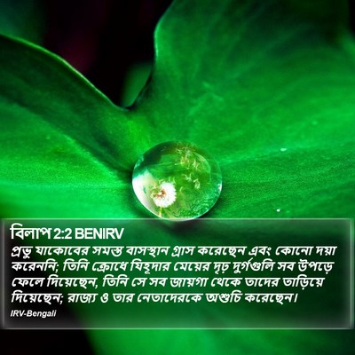 বিলাপ 2:2 BENIRV Bible Verse Image