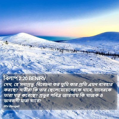 বিলাপ 2:20 BENIRV Bible Verse Image