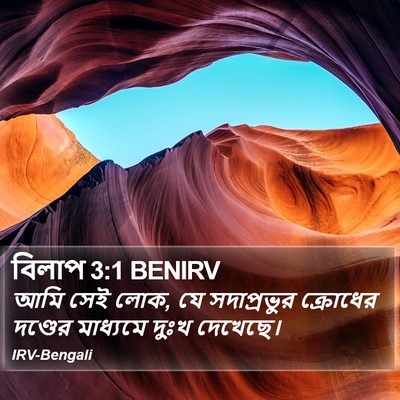 বিলাপ 3:1 BENIRV Bible Verse Image