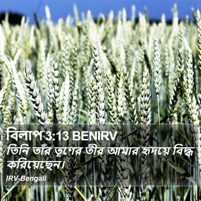 বিলাপ 3:13 BENIRV Bible Verse Image