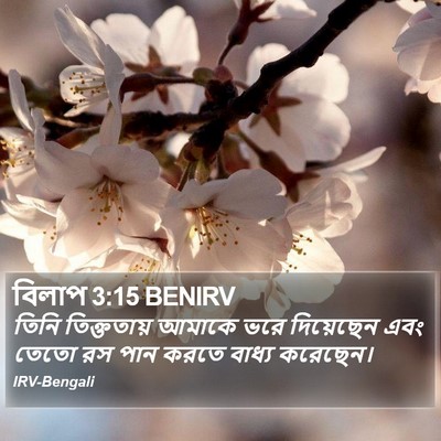 বিলাপ 3:15 BENIRV Bible Verse Image