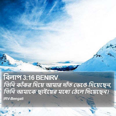 বিলাপ 3:16 BENIRV Bible Verse Image