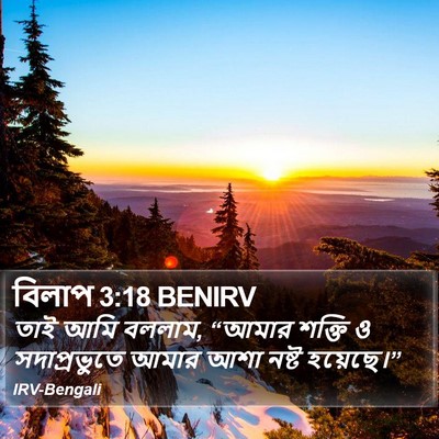 বিলাপ 3:18 BENIRV Bible Verse Image