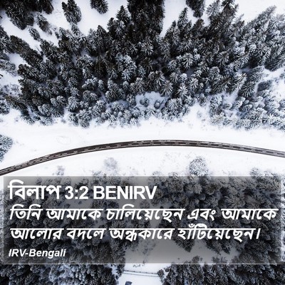 বিলাপ 3:2 BENIRV Bible Verse Image