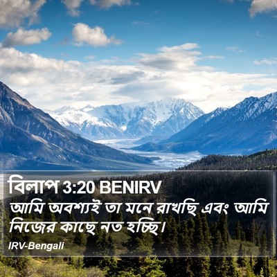 বিলাপ 3:20 BENIRV Bible Verse Image