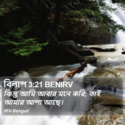 বিলাপ 3:21 BENIRV Bible Verse Image