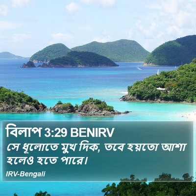 বিলাপ 3:29 BENIRV Bible Verse Image
