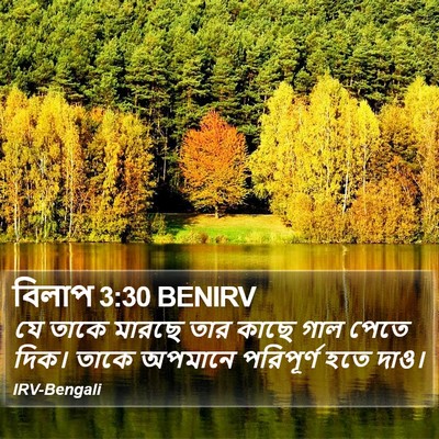 বিলাপ 3:30 BENIRV Bible Verse Image
