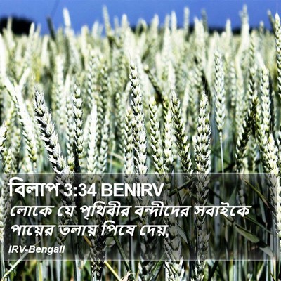 বিলাপ 3:34 BENIRV Bible Verse Image