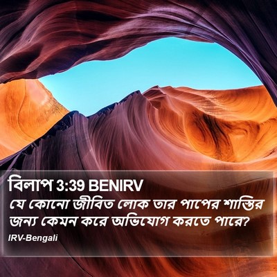 বিলাপ 3:39 BENIRV Bible Verse Image