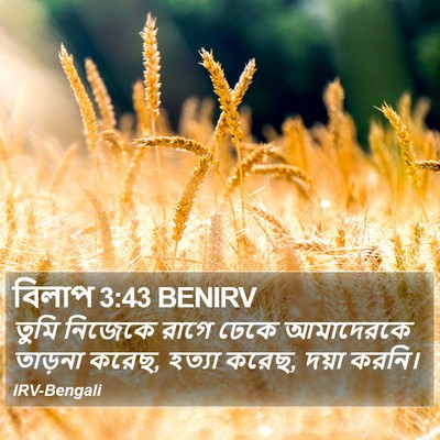 বিলাপ 3:43 BENIRV Bible Verse Image
