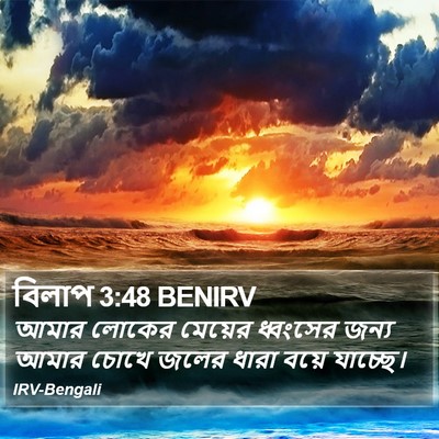 বিলাপ 3:48 BENIRV Bible Verse Image