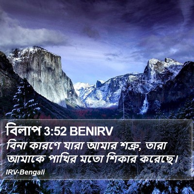 বিলাপ 3:52 BENIRV Bible Verse Image