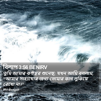 বিলাপ 3:56 BENIRV Bible Verse Image