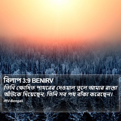 বিলাপ 3:9 BENIRV Bible Verse Image