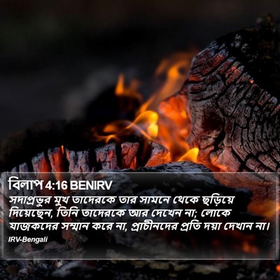 বিলাপ 4:16 BENIRV Bible Verse Image