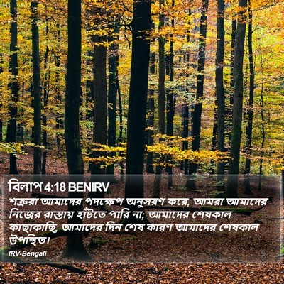 বিলাপ 4:18 BENIRV Bible Verse Image