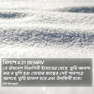 বিলাপ 4:21 BENIRV Bible Verse Image