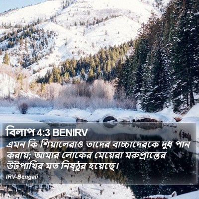 বিলাপ 4:3 BENIRV Bible Verse Image