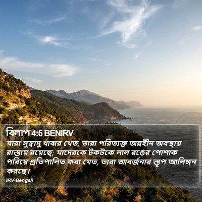 বিলাপ 4:5 BENIRV Bible Verse Image