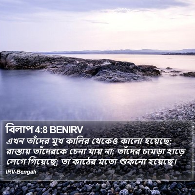 বিলাপ 4:8 BENIRV Bible Verse Image
