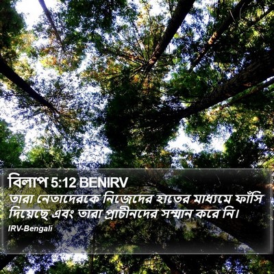 বিলাপ 5:12 BENIRV Bible Verse Image