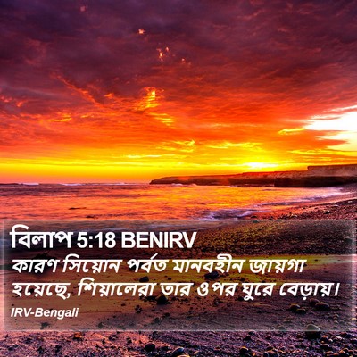 বিলাপ 5:18 BENIRV Bible Verse Image
