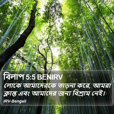 বিলাপ 5:5 BENIRV Bible Verse Image