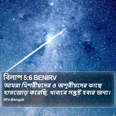 বিলাপ 5:6 BENIRV Bible Verse Image