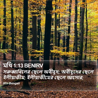 মথি 1:13 BENIRV Bible Verse Image