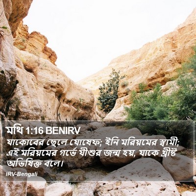 মথি 1:16 BENIRV Bible Verse Image