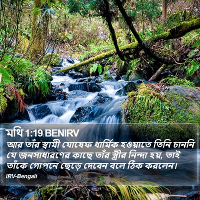 মথি 1:19 BENIRV Bible Verse Image