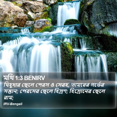মথি 1:3 BENIRV Bible Verse Image