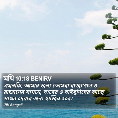 মথি 10:18 BENIRV Bible Verse Image