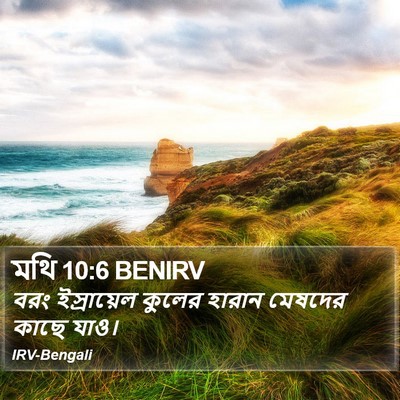 মথি 10:6 BENIRV Bible Verse Image