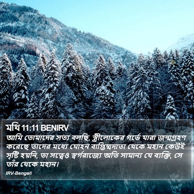 মথি 11:11 BENIRV Bible Verse Image