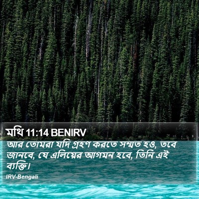 মথি 11:14 BENIRV Bible Verse Image