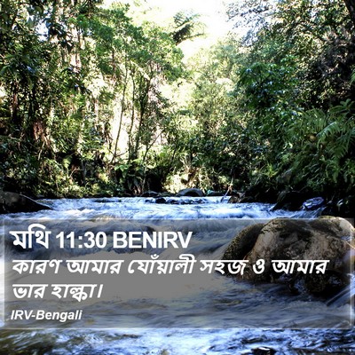 মথি 11:30 BENIRV Bible Verse Image