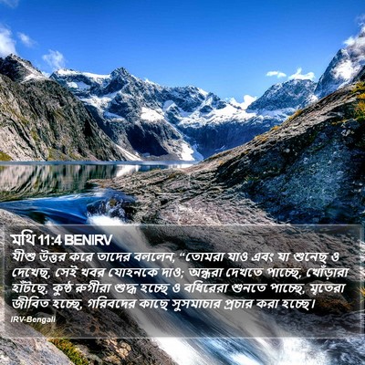মথি 11:4 BENIRV Bible Verse Image