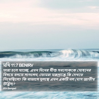 মথি 11:7 BENIRV Bible Verse Image