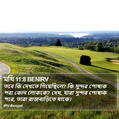 মথি 11:8 BENIRV Bible Verse Image