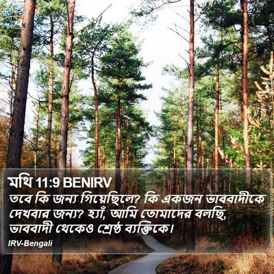 মথি 11:9 BENIRV Bible Verse Image