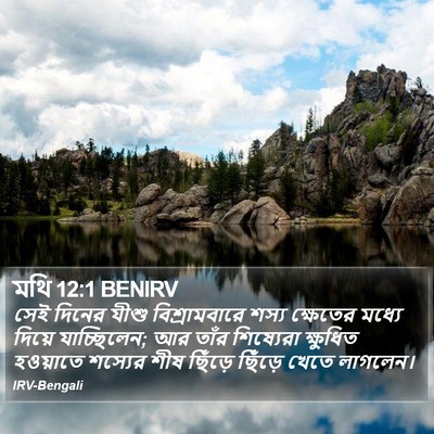 মথি 12:1 BENIRV Bible Verse Image