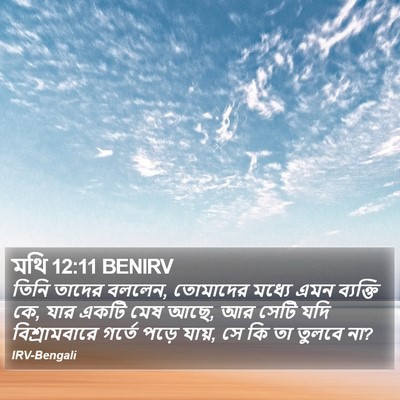 মথি 12:11 BENIRV Bible Verse Image