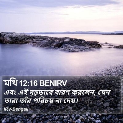 মথি 12:16 BENIRV Bible Verse Image