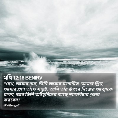 মথি 12:18 BENIRV Bible Verse Image