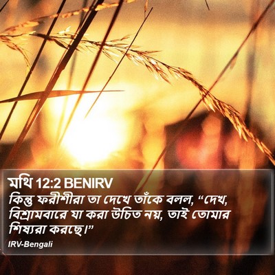 মথি 12:2 BENIRV Bible Verse Image
