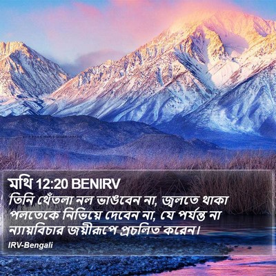 মথি 12:20 BENIRV Bible Verse Image